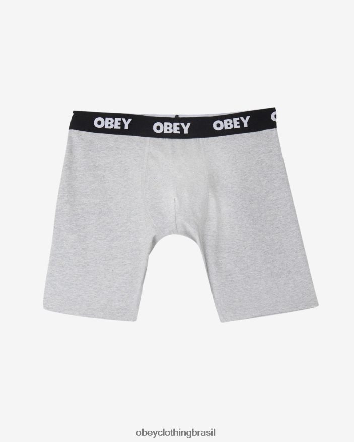 acessórios br OBEY homens boxers de trabalho est. (pacote com 2) cinza J22J4V487