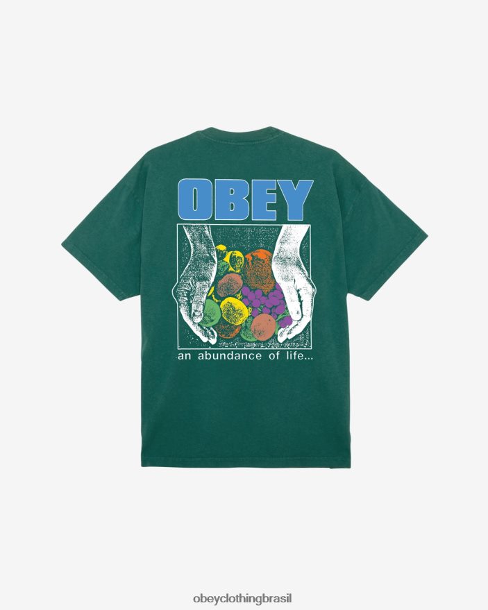 roupas br OBEY homens camiseta peso pesado abundância de vida aventura verde J22J4V395
