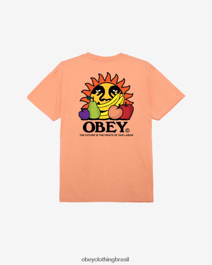 roupas br OBEY homens o futuro são os frutos da nossa camiseta clássica trabalhista citrino J22J4V292