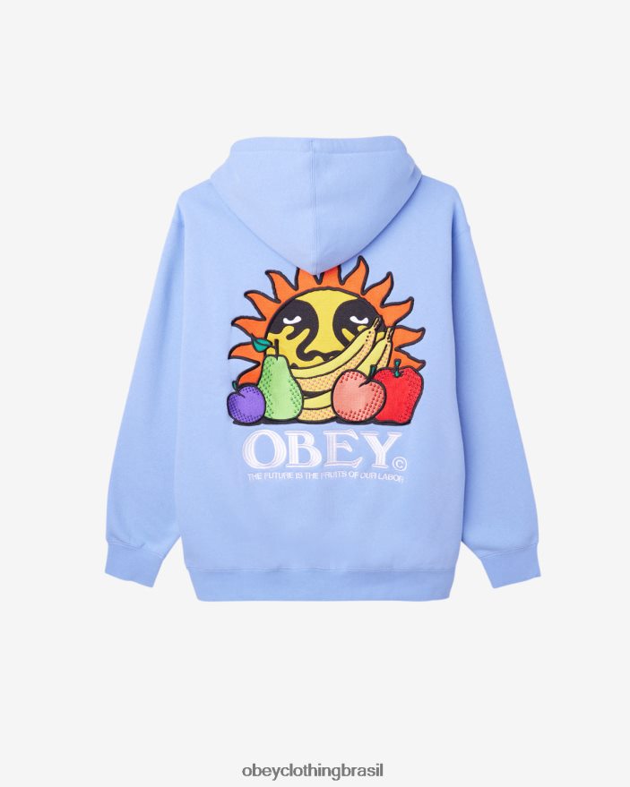 roupas br OBEY homens nosso pulôver de trabalho hortênsia J22J4V192