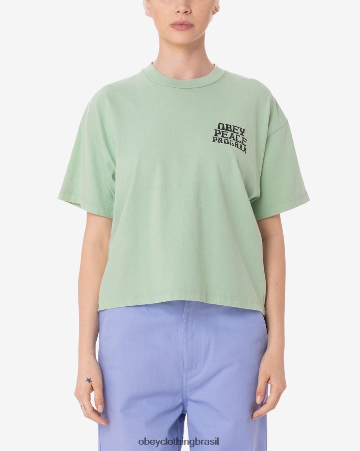 roupas br OBEY mulheres camiseta raegan do programa de paz verde tranquilo J22J4V616